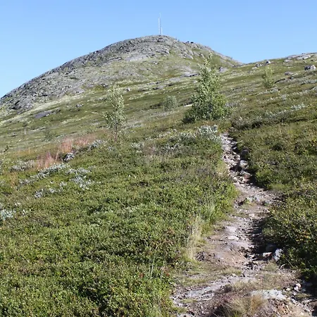 Jotunheimen Feriesenter بيت خشبي